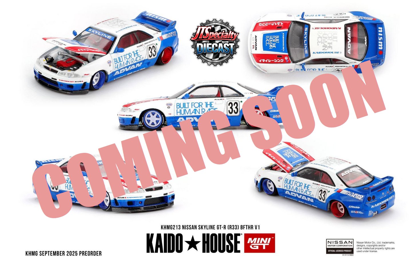 Kaido House 213 - Nissan Skyline GT-R (R33) BFTHR V1